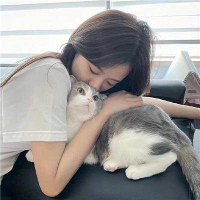 边境音暴